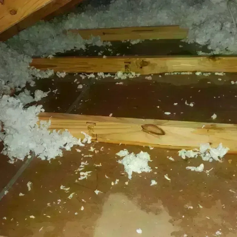 Attic Water Damage in Val Verde, CA